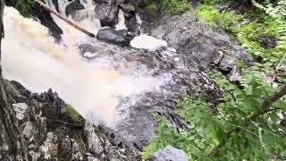 Alder Stream Falls on July 13, 2024