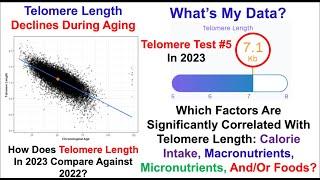 Telomere Length Test #5 in 2023: Which Dietary Factors Are Significantly Correlated?