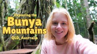 A Cosy Weekend in the Hidden Mountains of Queensland | Bunya Mountains, Australia