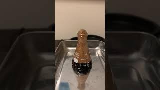 オキシドールと過マンガン酸カリウムの反応(洗剤なし)