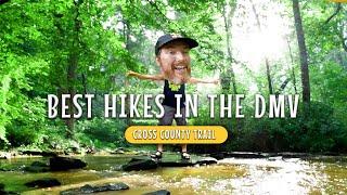 Hiking From Oakton To Reston On The SNEAKY FUN Cross County Trail | Best Hikes In The DMV