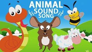 sons de animais | aprender sons de animais | Animal Sounds Song