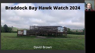 Braddock Bay Hawk Watch 2024 Season Results