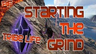 Tribe Life Ep 1 - Starting the Grind