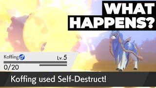 What Happens If You SELF-DESTRUCT In The Beginning Legendary Battle Of Pokémon Sword & Shield?