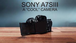 SONY A7SIII RUMORS-  FULL HDMI, FLIP TOUCH SCREEN, 4k 120, NO OVERHEATING?