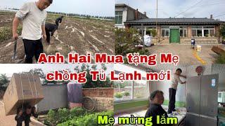 #493Anh Hai Mua Tặng Mẹ Chồng Tủ Lạnh Mới,Mẹ mừng Lắm,đưa Mẹ đi lấy thuốc về mót khoai lang