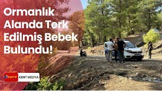 MUĞLA'DA ORMANLIK ALANDA TERK EDİLMİŞ BEBEK BULUNDU