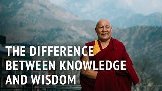 The Difference Between Knowledge and Wisdom | Geshe Lhakdor