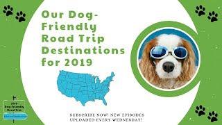 Dog-Friendly Road Trip Ideas | Dexter The Dog's 2019 US Road Trip