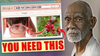 Why This Herb Is BANNED Everywhere But CURES Everything | Dr. Sebi’s MOST POWERFUL Healing Secret