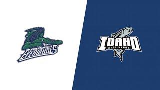 ECHL Free Live Stream - Florida Everblades Vs Idaho Steelheads | Watch Live On FloHockey