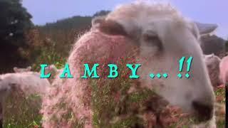 ‘LOST LITTUL LAMBY’