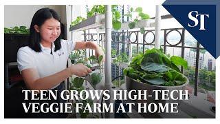 Teen grows sustainable hydroponic farm at home