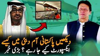 Look How Pakistani Mango Export To UAE  | Economy | Mango | Pak UAE Relations