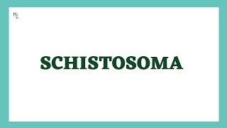 Schistosoma | Schistosomiasis | Blood Flukes | Schistosoma mansoni, haematobium & japonicum