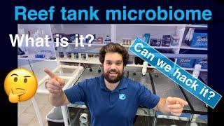 Don’t add bacteria to your saltwater reef aquarium before watching this!