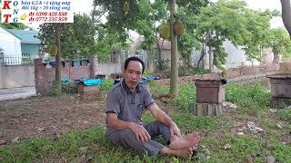 Khi gặp nóng đàn ong cần gì