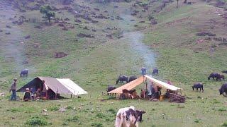 Organic Nepali Mountain Village Life in Nepal । Most Peaceful & Relaxation Village Life in Rain Time