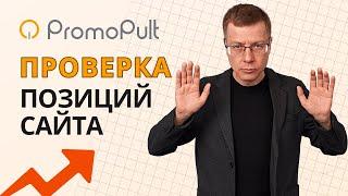 Проверка Позиций Сайта в поисковиках Яндекс и Google по Ключевым Словам | сервис PromoPult — SEO