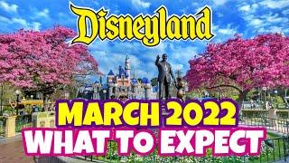 Complete Guide to Disneyland in MARCH 2022! Rides, Crowds, Food, Special Events + Our Tips & More!