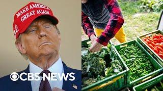 How Trump's mass deportation plans could affect food, farming industry