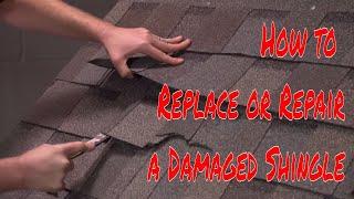 How to Replace or Repair a Damaged Shingle by RoofingIntelligence.com