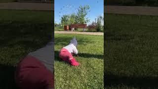 с днем рождения
