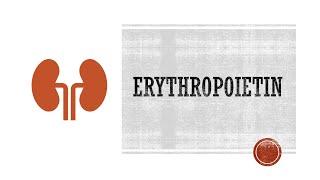 Erythropoietin