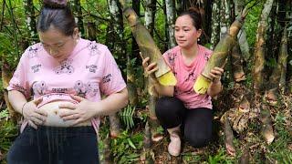 Ly Thi Ca Is 3 Months Pregnant - Harvest Bamboo Shoots Goes To Market Sell