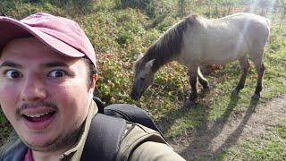 Kent Coast Walk - Ramsgate to Sandwich! (Pegwell Bay)