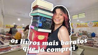 fui na MELHOR FEIRA DE LIVROS e paguei 10 reais em livros de 400!