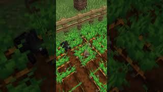 RABBITS CAN DESTROY YOUR CARROT FARM IN MINECRAFT #minecraft #shorts #gaming