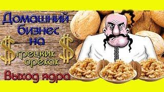 Домашний Ореховый Бизнес/Выход ядра после колки.