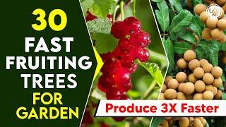 Top 30 Quick Fruiting Plants for Home Garden | Best Fruit Trees That Produce Fruit Very Fast