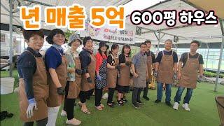 600평 하우스 년 매출 5억 ! 어떤 작물?