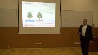 ДИНАМИКА ПОТОКОВ УГЛЕКИСЛОГО ГАЗА И ВОДЫ МЕЖДУ ЛЕСОМ И АТМОСФЕРОЙ ПРИ ПЕРЕМЕННОМ СОЛНЕЧНОМ ИЗЛУЧЕНИИ