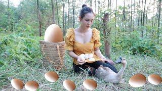 Survive in the forest - Unexpectedly meet the Mother Goose incubating eggs | Ngân Daily Life