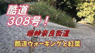 酷道３０８号「暗峠奈良街道」を歩く　急坂で有名な３０８号を歩いてきました　終盤を迎えた紅葉も綺麗でした！！