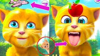 Talking Ginger Funny Video | funny ginger cat videos | ginger funny videos |