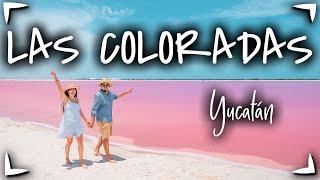 Las Coloradas YUCATAN y Rio Lagartos  GUIA COMPLETA ► Que hacer, precios, hospedaje 🟡 Vale la PENA?