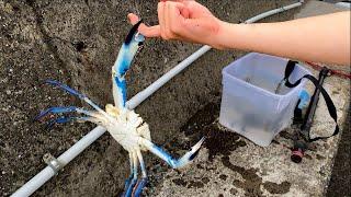 I got pinched by the STRONGEST blue crab【ENG SUB】