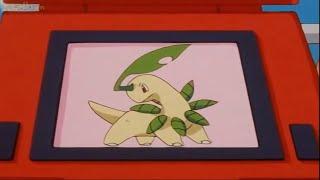 Pokedex #153 Bayleef