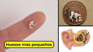 ¡Cosas Curiosas que no sabías! #20