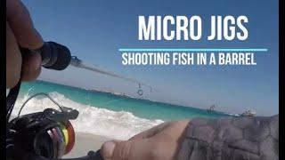 Micro Jigging: Shooting fish in a Barrel! Herring and Skippy