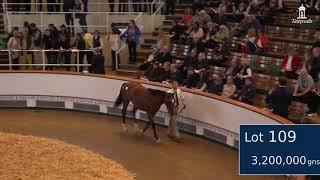 Mogul selling for 3,400,000gns at Book 1 of the October Yearling Sale