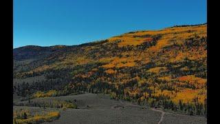 Autumn Mountain - A Bird's Eye View of the Stunning Colors of Fall in Fishlake National Forest