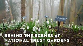 Explore Anglesey Abbey with Jane Moore | National Trust Gardens | STIHL Partnership | STIHL GB