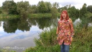 Начинаем строить пруд на даче. Идеи оформления сада.