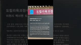 경기도 이천 산수유 마을 육괴정